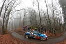 Pfalz-Westrich-Rallye 2012_13