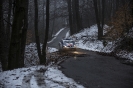 Saarland-Pfalz-Rallye 2016_12