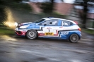 Rallye Stemweder Berg 2016_8