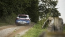 Rallye Niedersachsen 2017_59